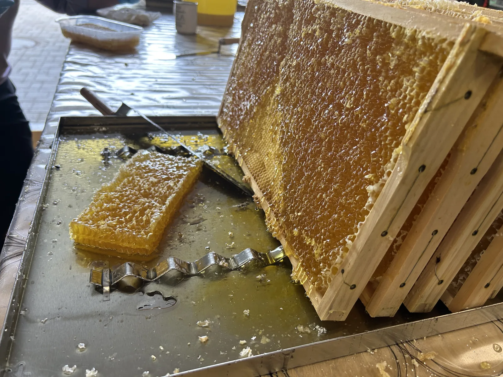 Imkerei Matic Frühling