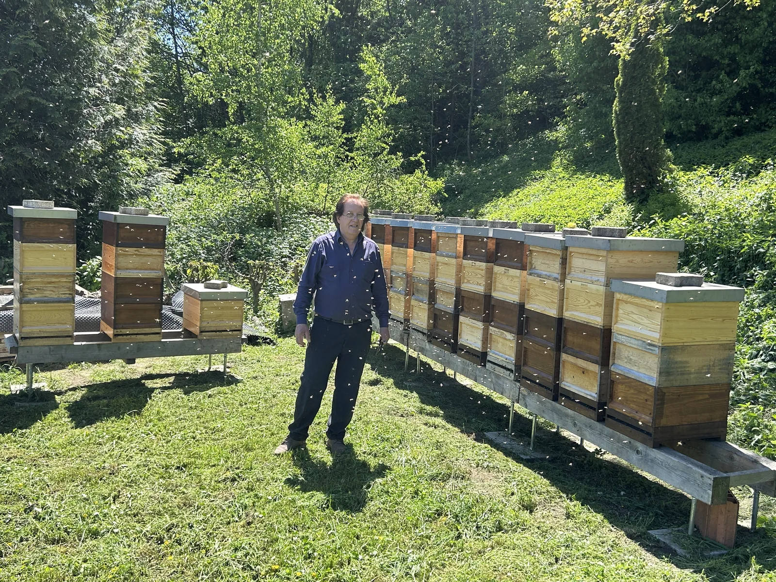 Jozo Matic mit seinen Bienen