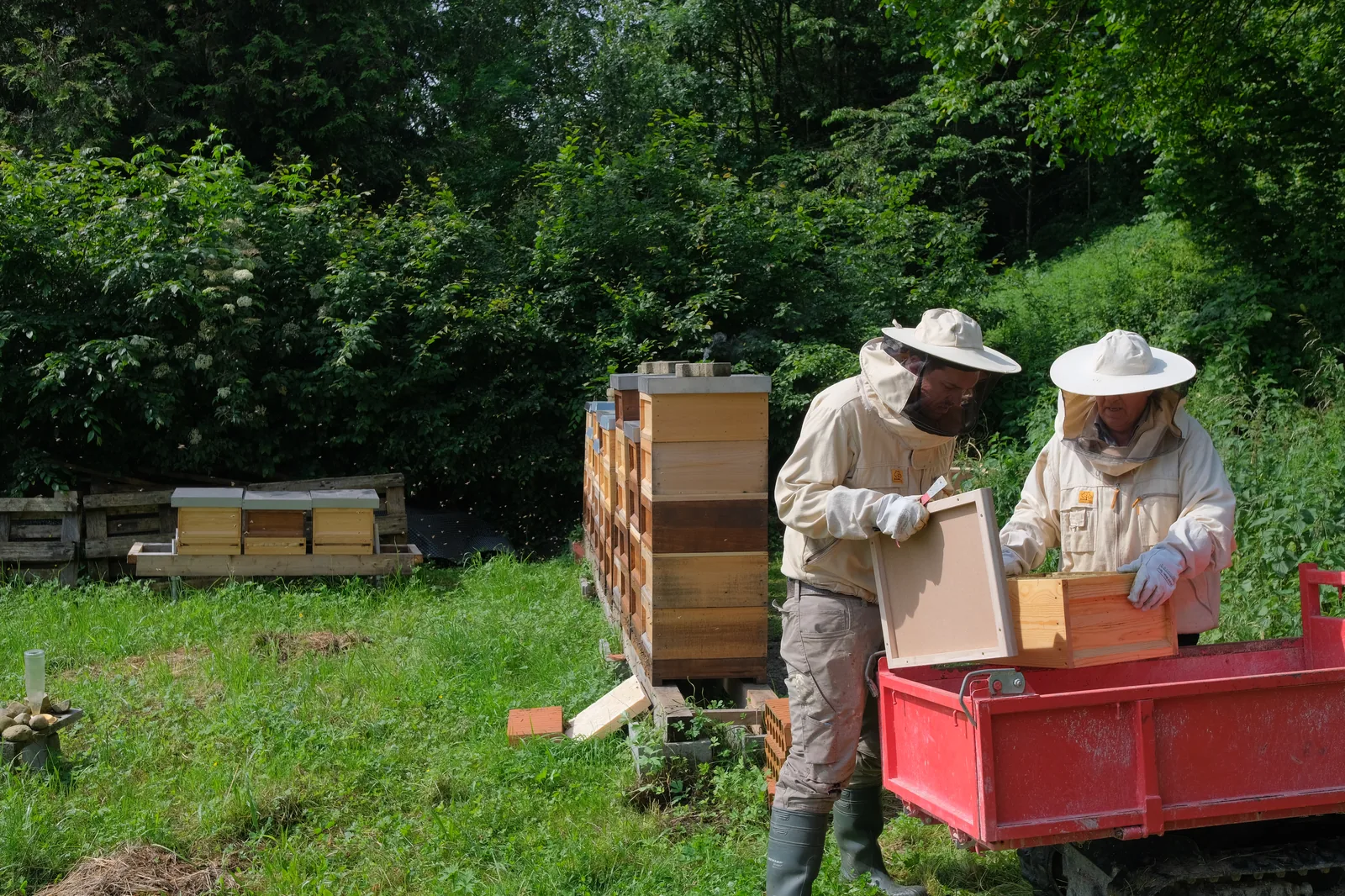 Josip und Jozo beim gemeinsamen Imkern